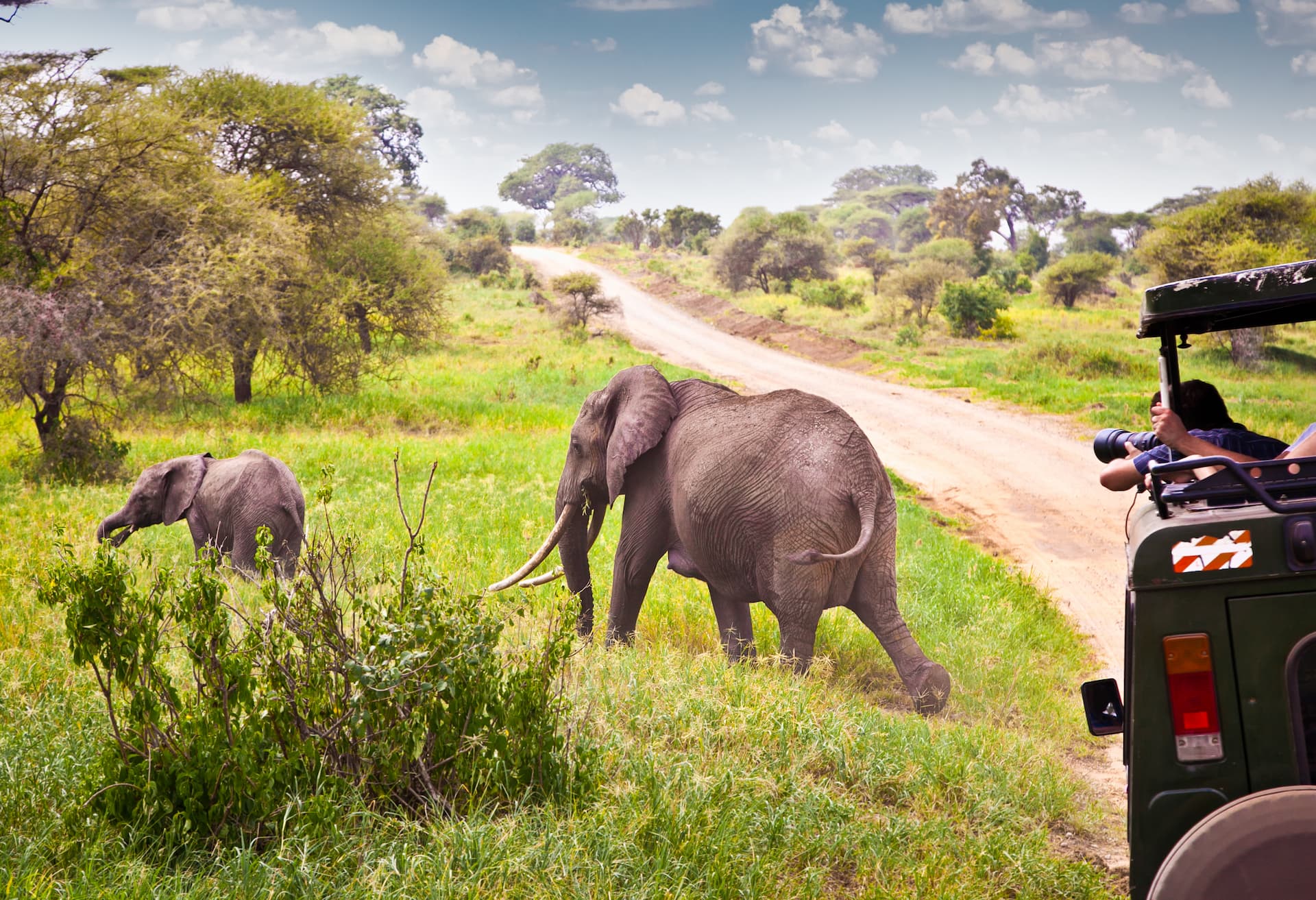 Mother and baby elephant walking away from a Land Cruiser with tourists taking photos on a lush green savannah during the off-season under puffy white clouds