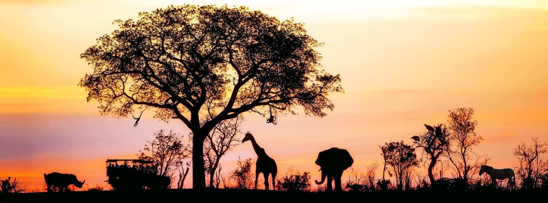 Beautiful multi-colored sunset with a large African shade tree, a rhino, a Land Cruiser, a giraffe, an elephant, and a zebra underneath it