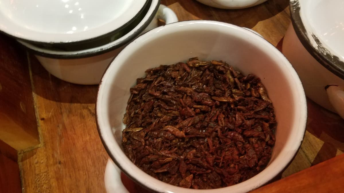 Close-up of crickets served with guacamole at Hotel Xcaret Mexico.