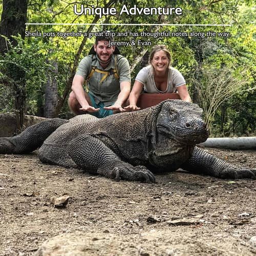 Travelers about to touch a Komodo dragon on Komodo Island, part of their custom trip planned by Sheila, including Bali, Ubud, and Gili.