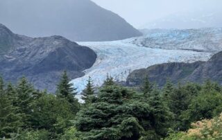 Mendenhall Glacier with trees and mist, a stunning sight during an Alaska cruise adventure.