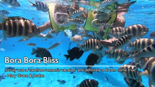 A couple snorkeling in Bora Bora, surrounded by dozens of fish, during their dream honeymoon planned by Sheila Cannon for a carefree romantic vacation.